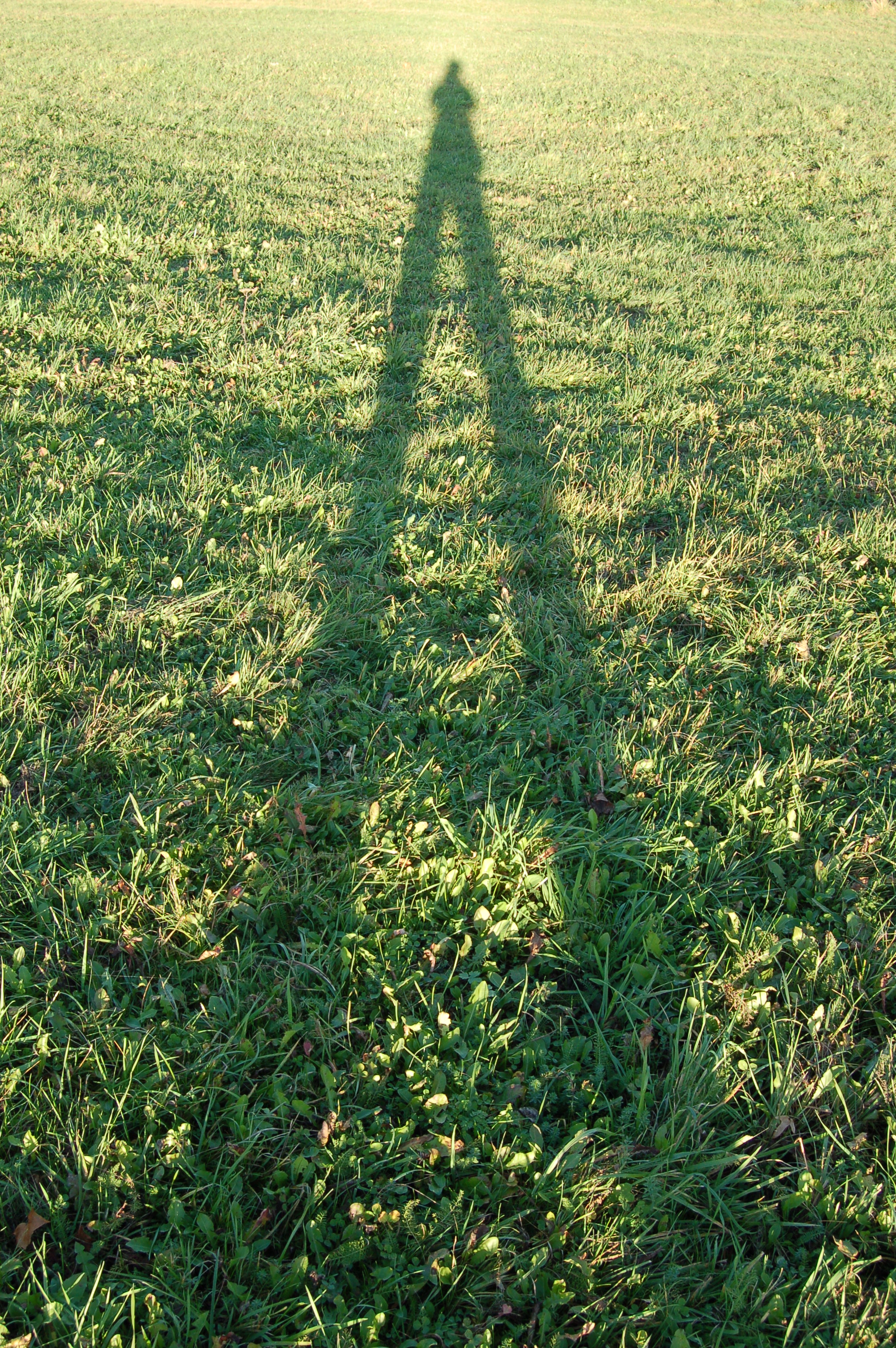 DSC_0035.JPG